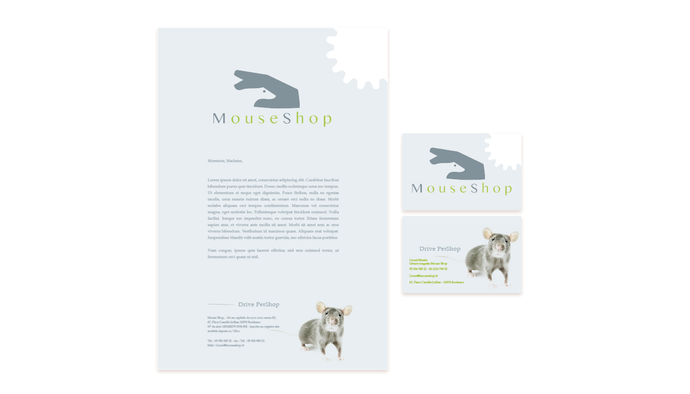 20160718_mouseshoppresentation_2