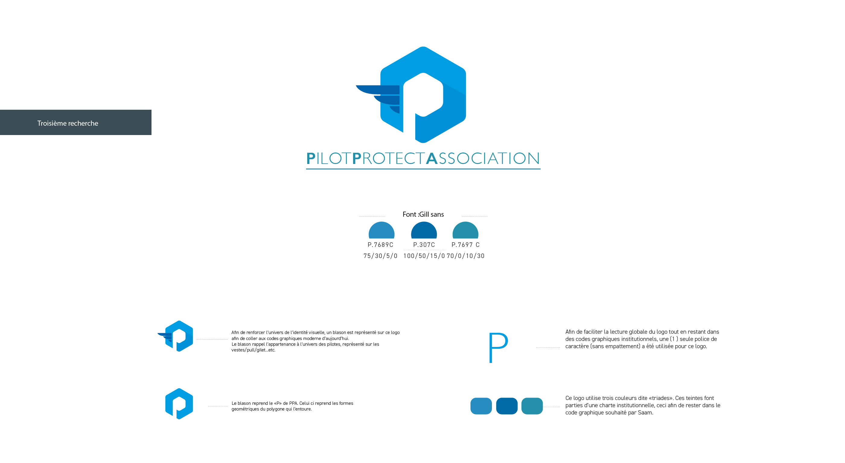 Saam, Pilot Protect Association, Stewart, hôtesses de l’air, pilotes, assurances, aéronef, verspieren, Pilotes, services, logo, web design, print, app, idée, ui/ux, marque, communication, Guyane, Construction, conseil, consultation, appel d’offre,